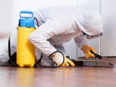 شركة مكافحة حشرات بالدمام والخبر والقطيف والظهران